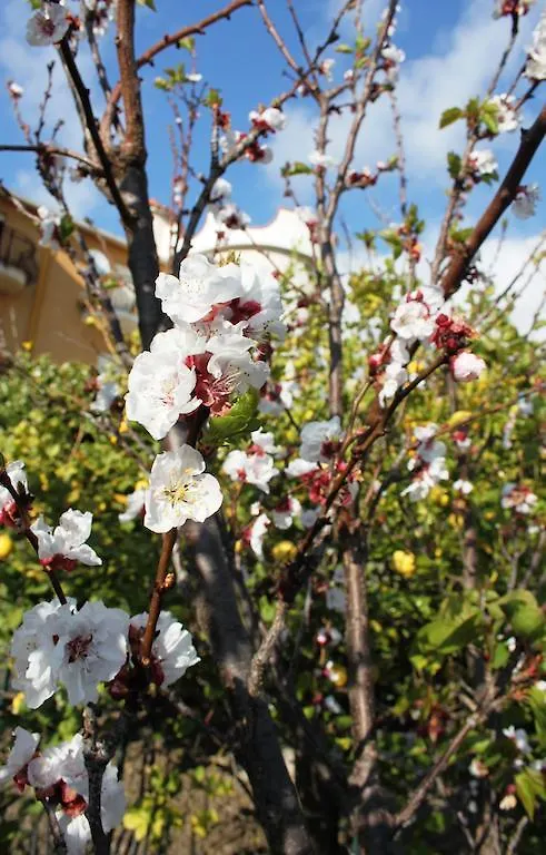 B&B Villa Olimpo Le Torri Villaggio Peruzzo